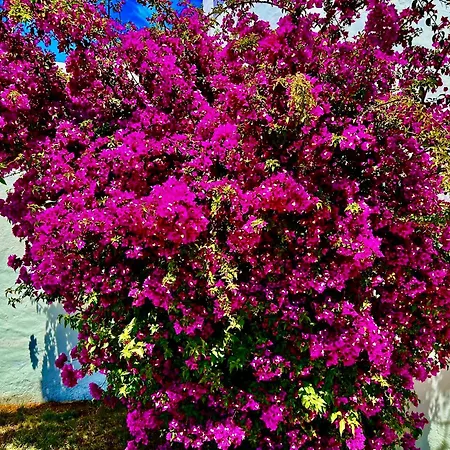 Solar Do Monte 4 Apartament *