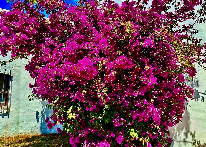 Solar Do Monte 4 Apartamento *